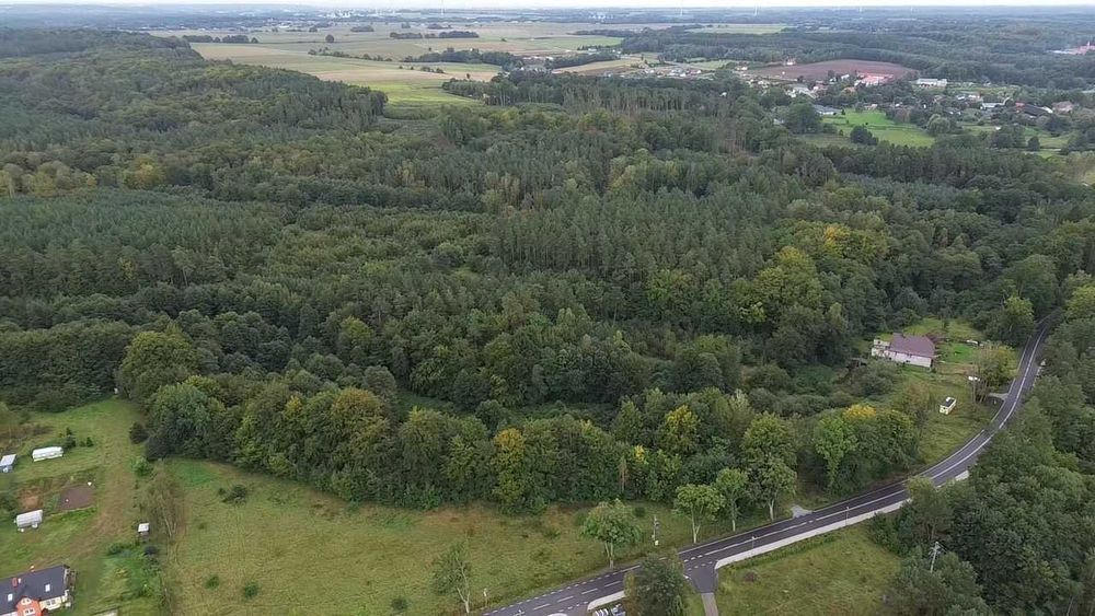 Działka rolno-leśna z warunkami zabudowy*30 561 m2*własny las*strumyk