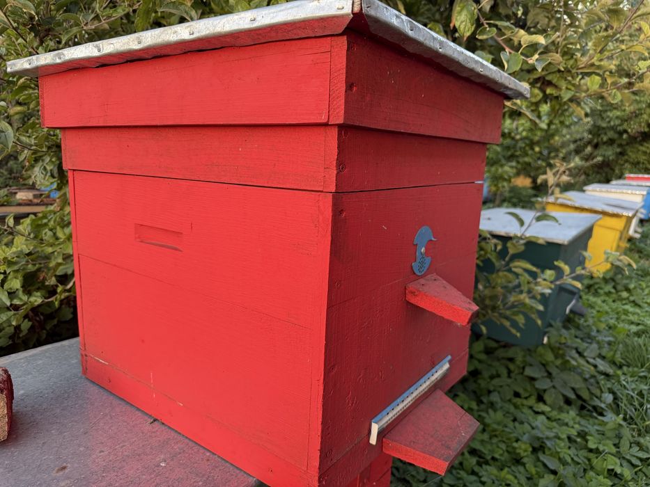 Вулики вживані і нові (корпусні)