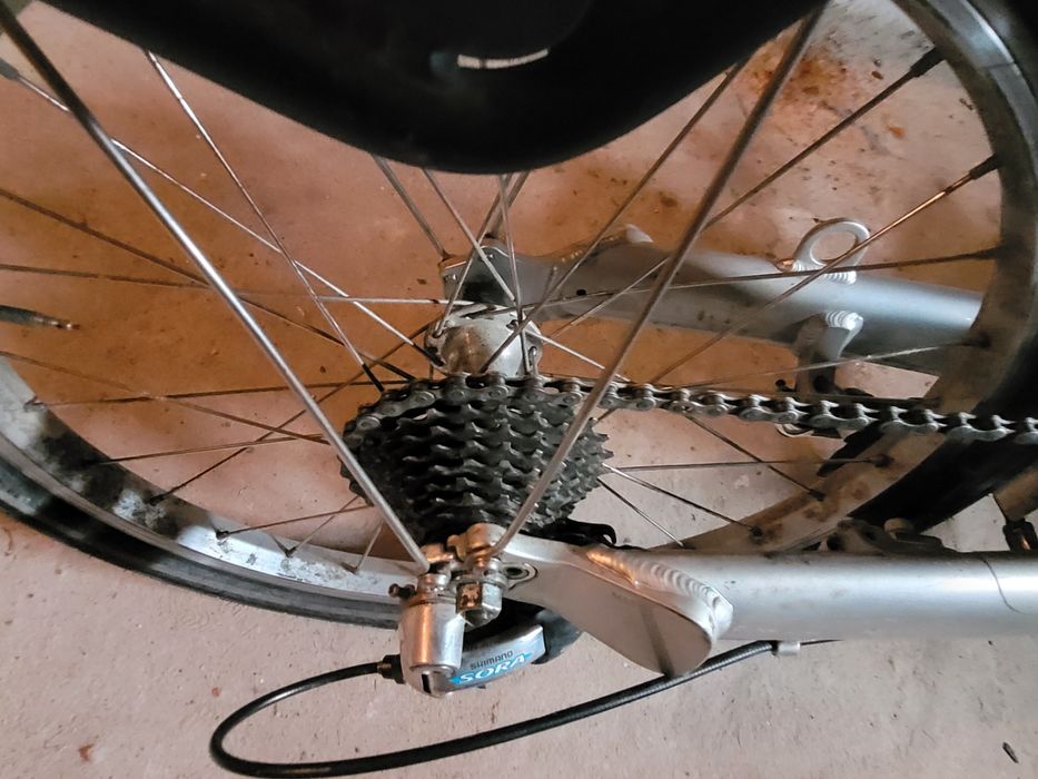 Rower "pół poziomy" Giant revive dx
