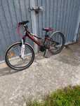 Rower kross 24 cali