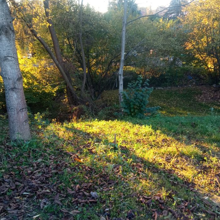 Sprzedam dzialke budowlanà 681m² - 6,81 ar Krzeszowice - wlasciciel.