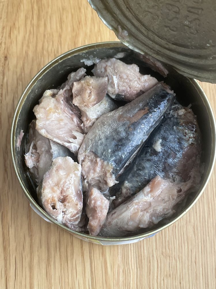 Скумбрія Атлантична