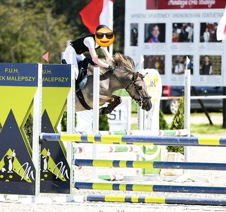 Kuc C Grupa do sportu, ambitnej rekreacji