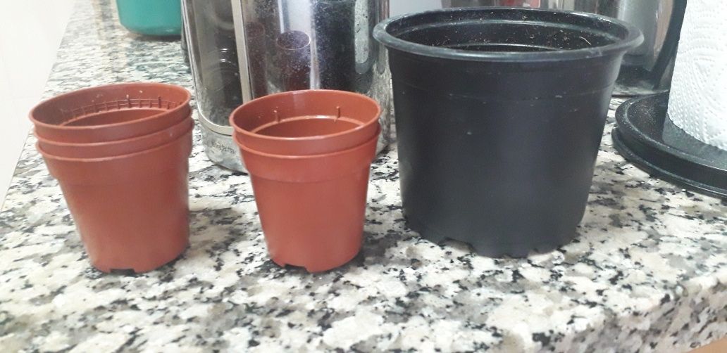 Vasos de flores variados