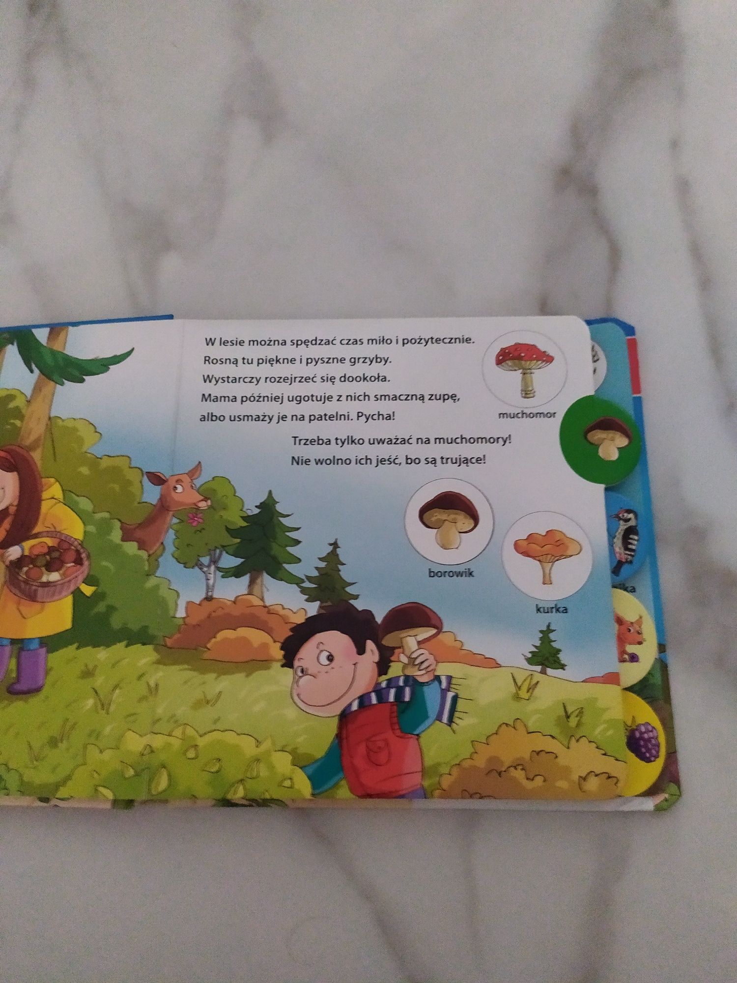 Książka dla dzieci W lesie