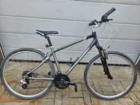 Rower giant cypress dx
