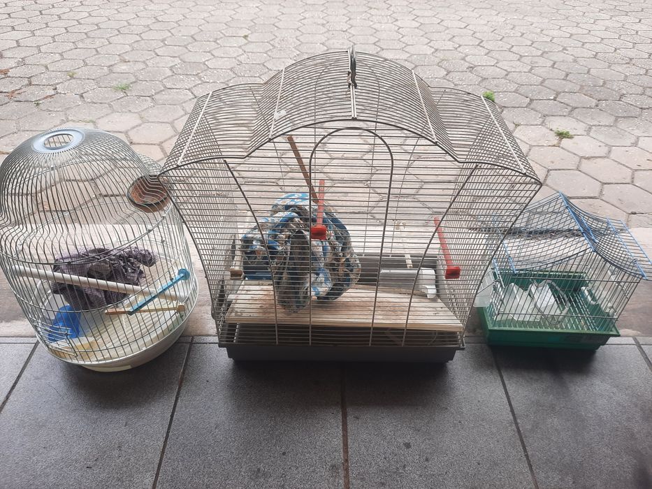 Gaiolas para passaros