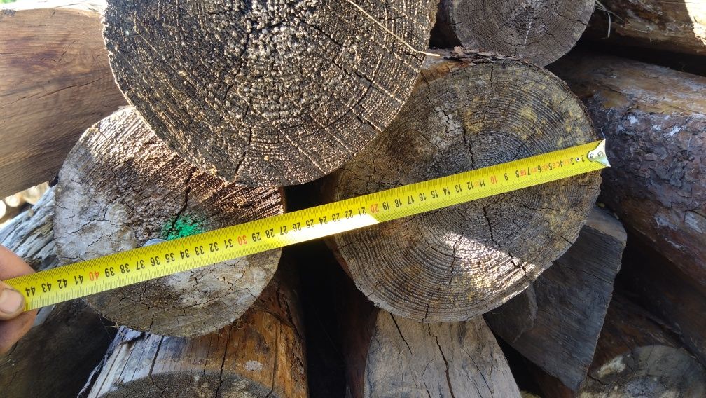 grube stemple pale bale klody 250 cm ogrodzenie ranczo