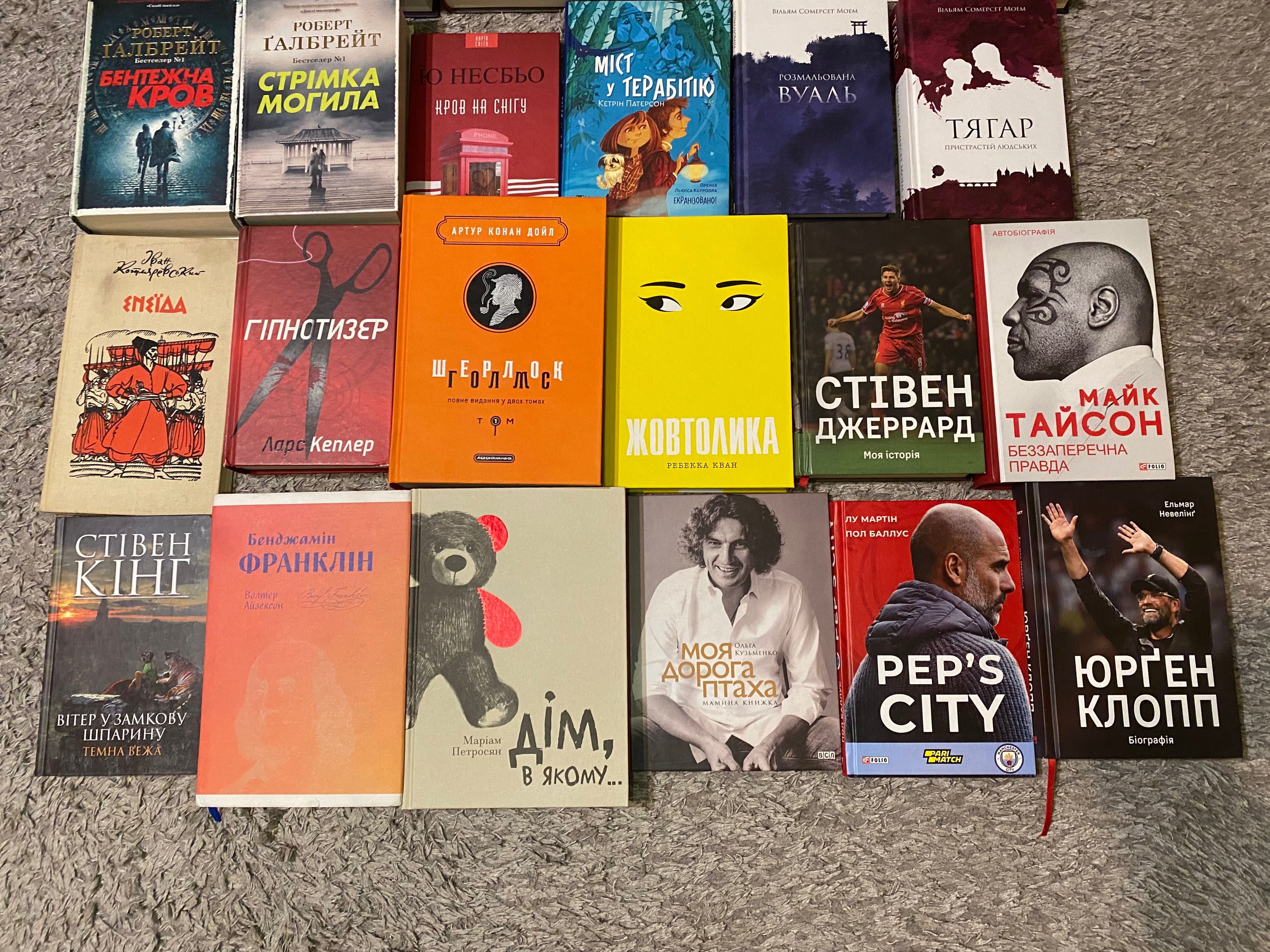Книги дім в якому, рік у Провансі, сліпота, ловець невинних душ, кінг
