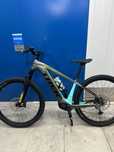 eBike Trek Powerfly 5 M CH-GN