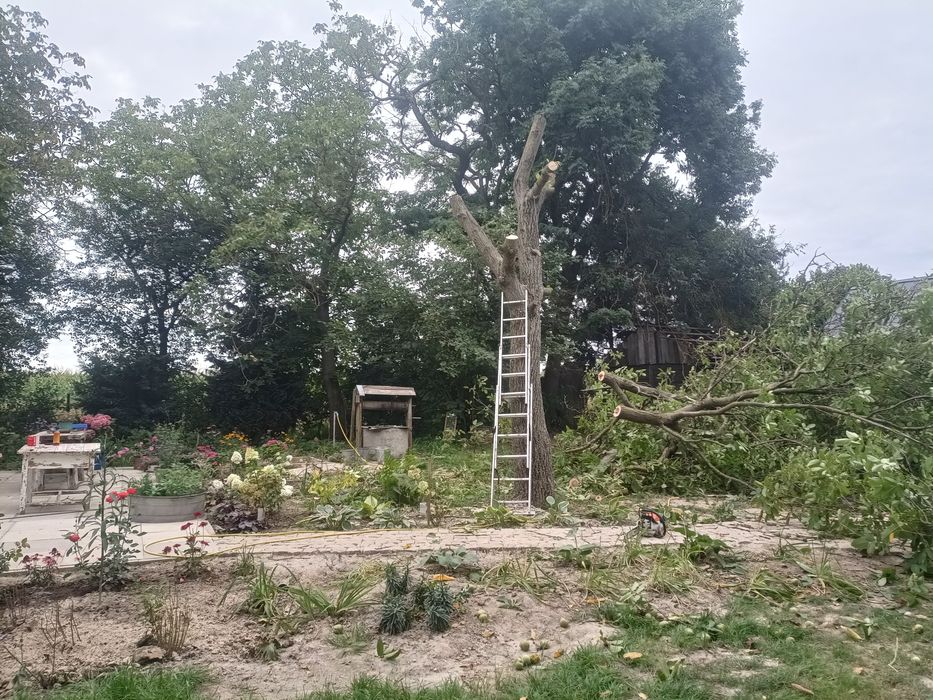 Wycinka drzew, prace alpinistyczne, zrębkowanie gałęzi