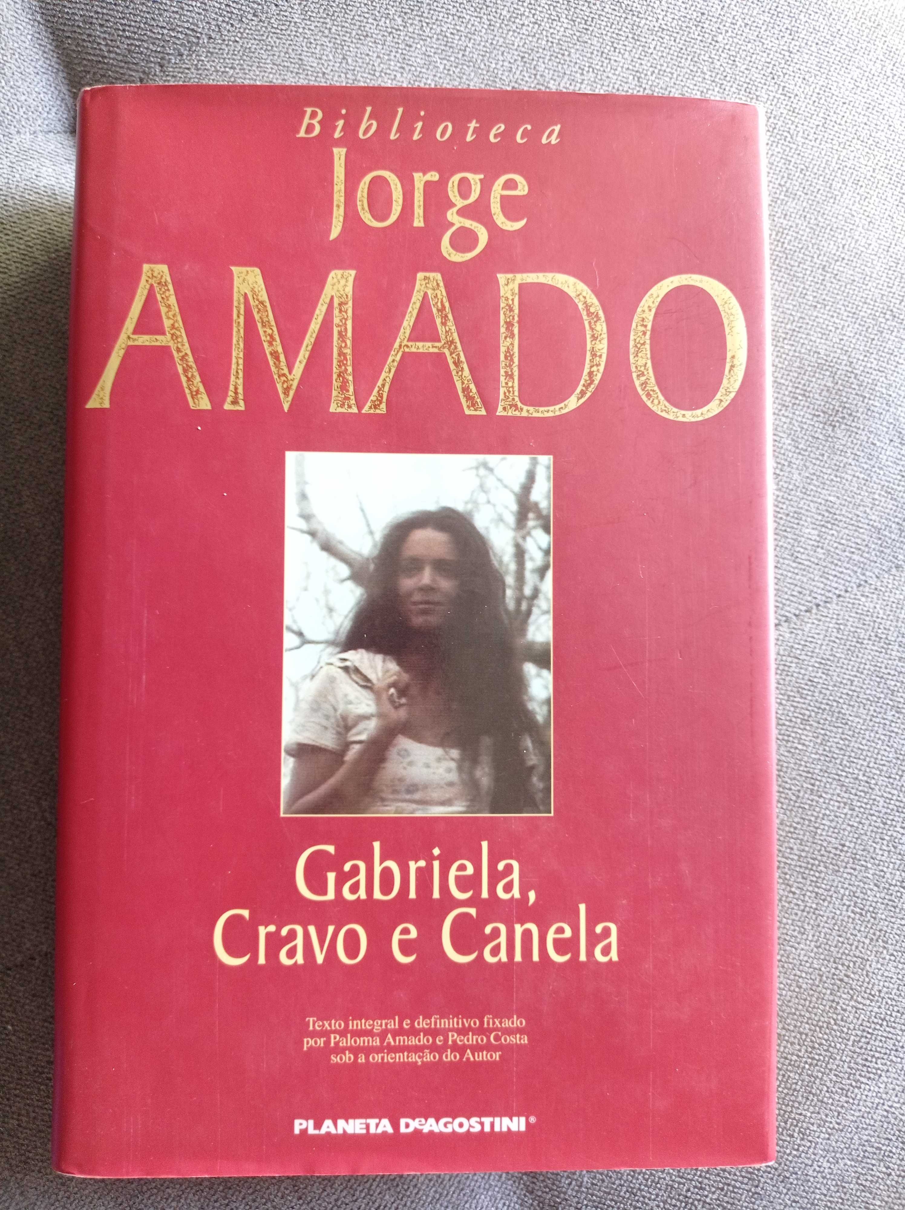 Livro "Gabriela, Cravo e Canela" (usado)