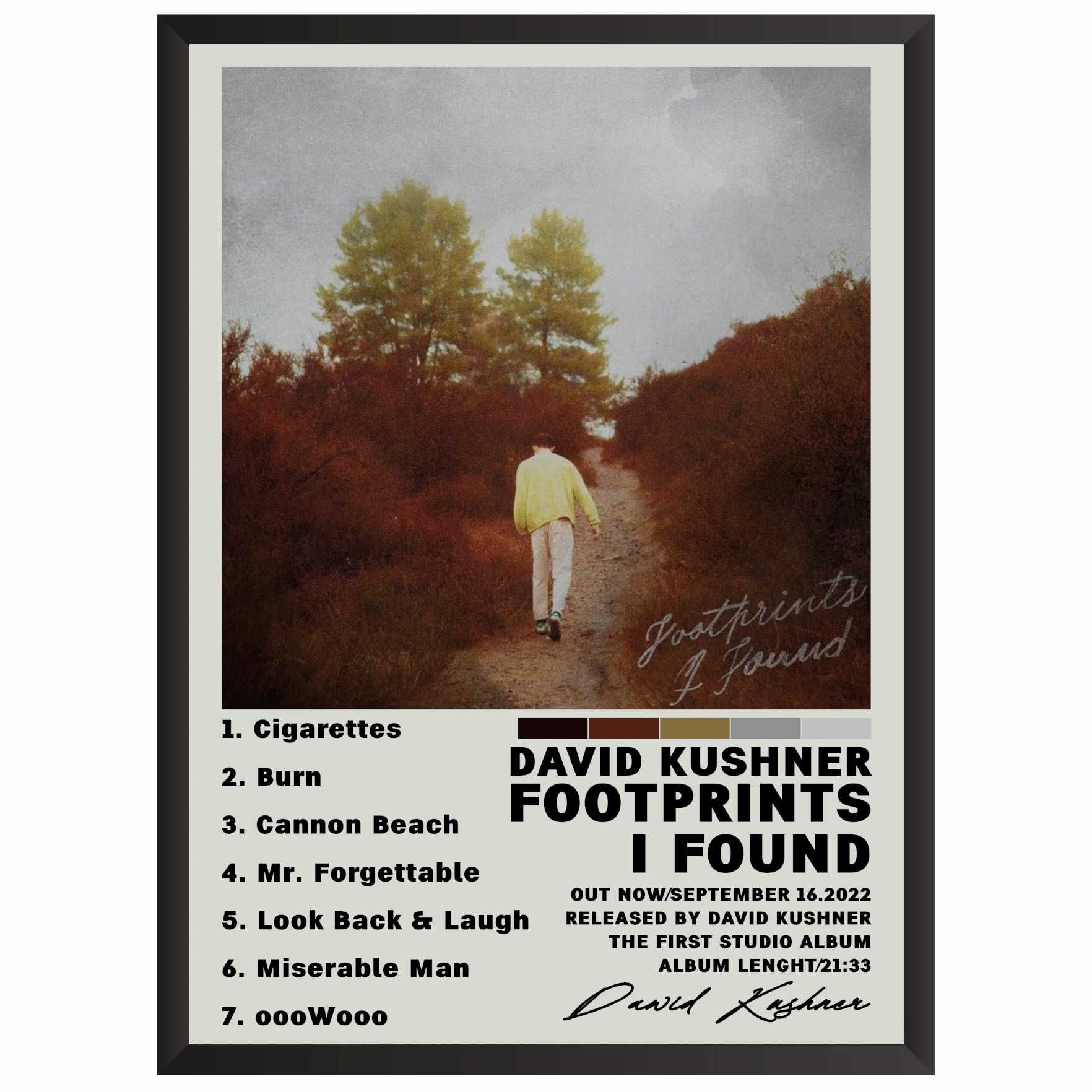 Davis Kushner Footprints I Found Plakat Obraz z albumem prezent