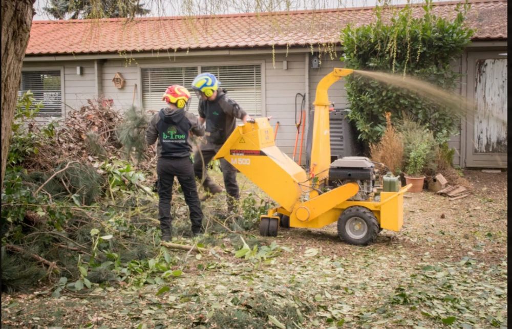 Wertykulacja Koszenie Trawy Tui Wycinka Drzew usługi glebogryzarką
