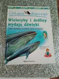 Książka ciekawe dla czego Wieloryby i delfiny wygrają dzwięki
