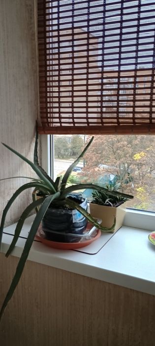 Сдам 3 комнатная квартира Таирова Королева Вильямса 4 этаж