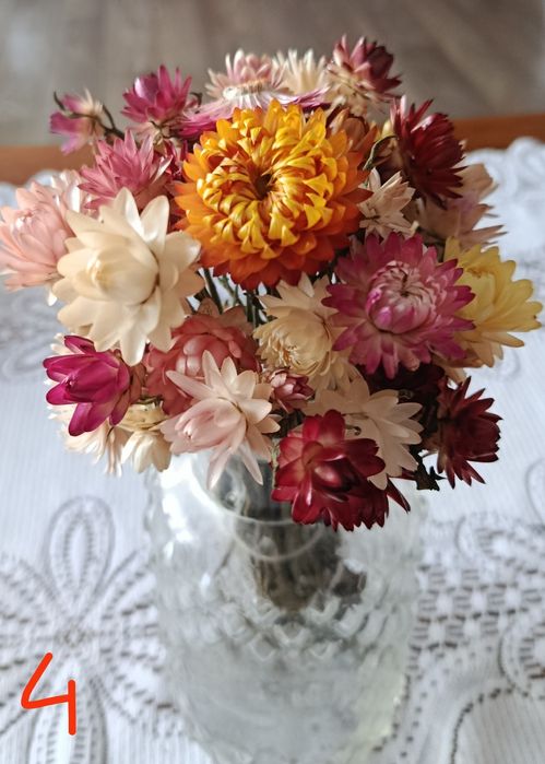 Suszone bukiety kocanki