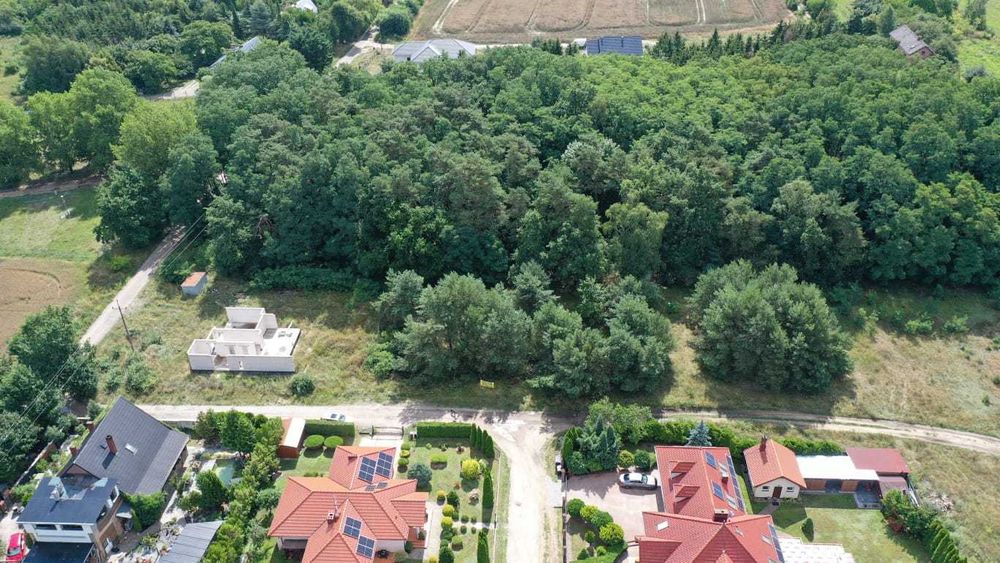 Duża,atrakcyjna działka budowlana z lasem