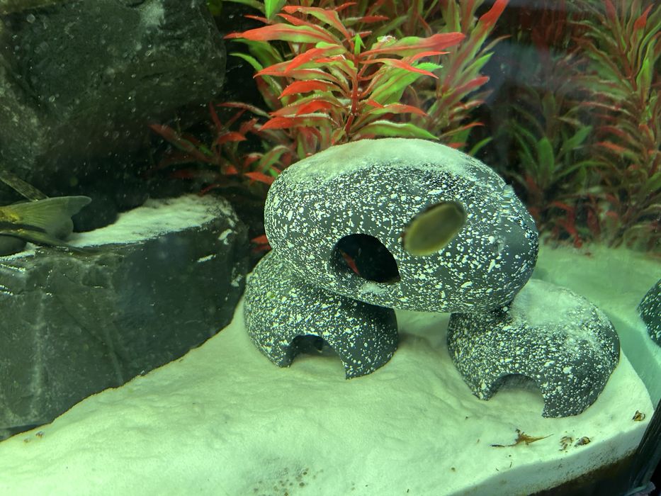 Skalna kryjówka dla rybek , do akwarium , terrarium