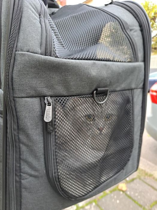 Nowy plecak transporter dla psa kota bezpieczne piesze wędrowki razem