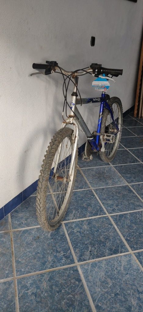 Bicicleta montanha