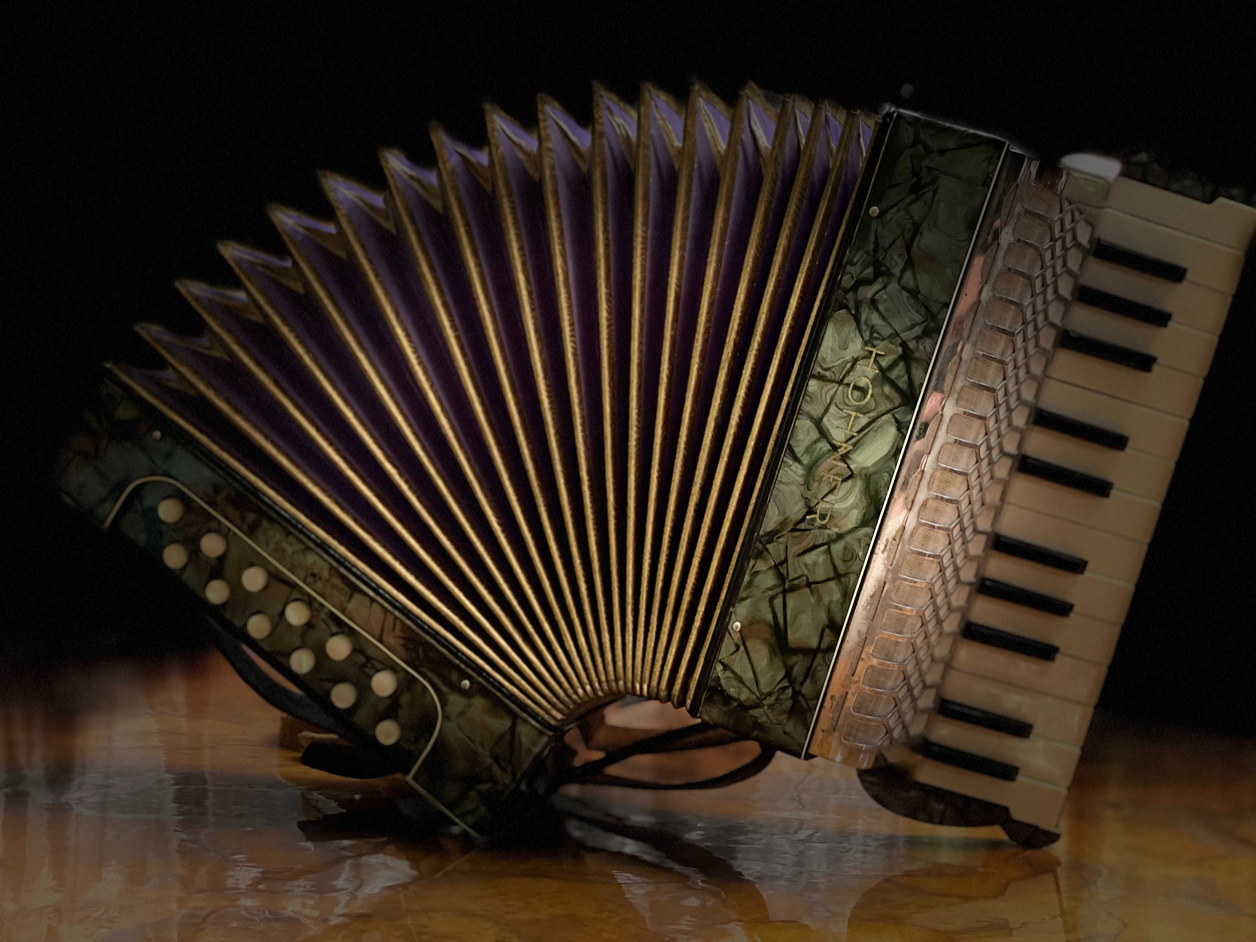 Старовинний антиквар. Більше 100 років Аккордеон Hohner Regina 1920х-р