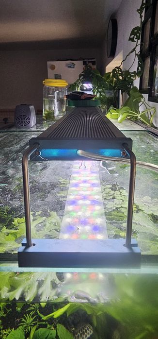 Twinstar 1200c lll para aqias de 120cm