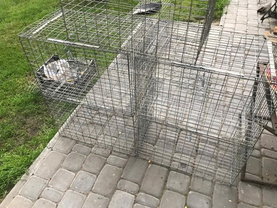 Клітки для кроликів