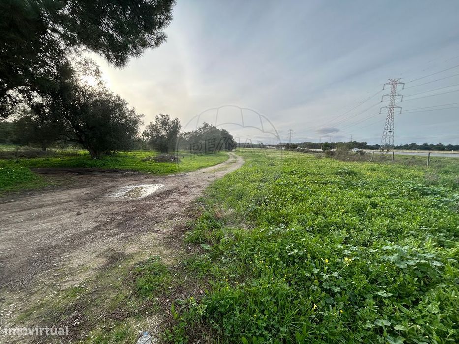 Terreno  para venda