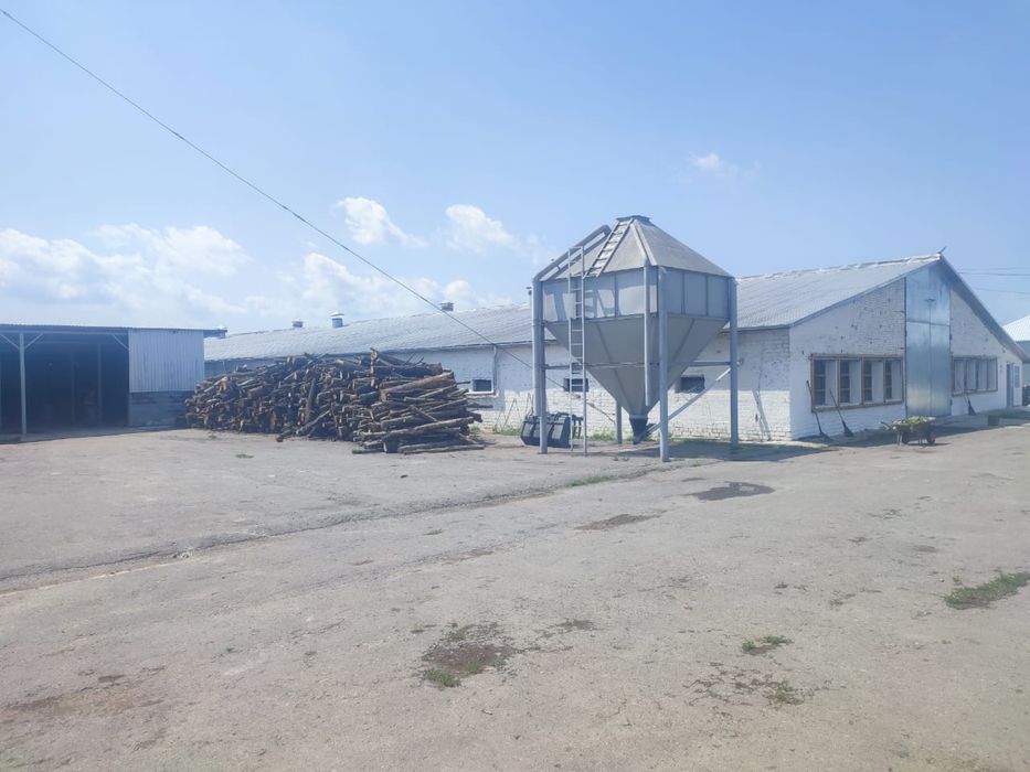 Діючий бізнес. Комплексна бройлерна птахоферма, забійний цех