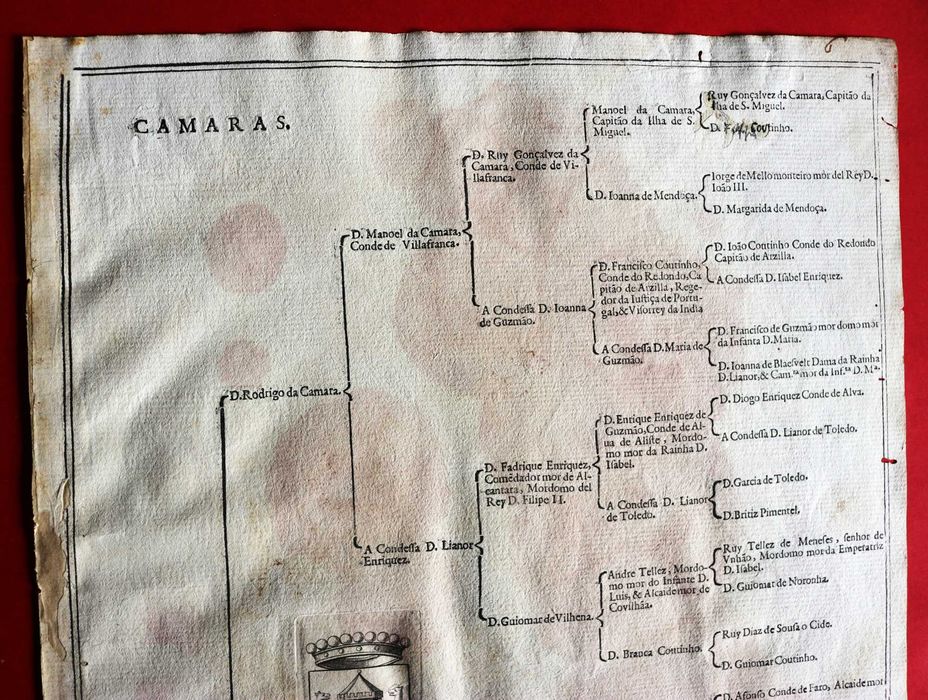 Camaras, Condes de Vila Franca (Ribeira Grande) árvore costados 1623