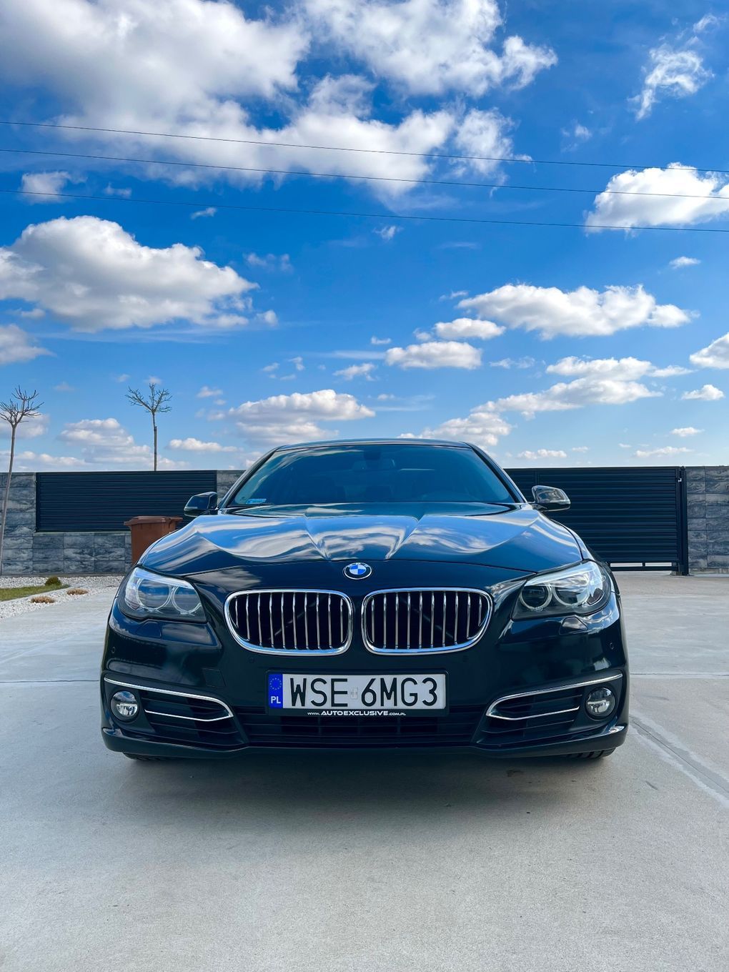 BMW Seria 5 BMW 530d Luxury Line