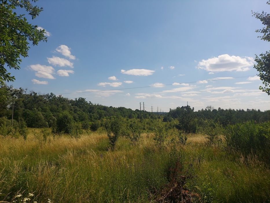 Продаж ділянки 10 соток на початку с.Іванівка (2695479)