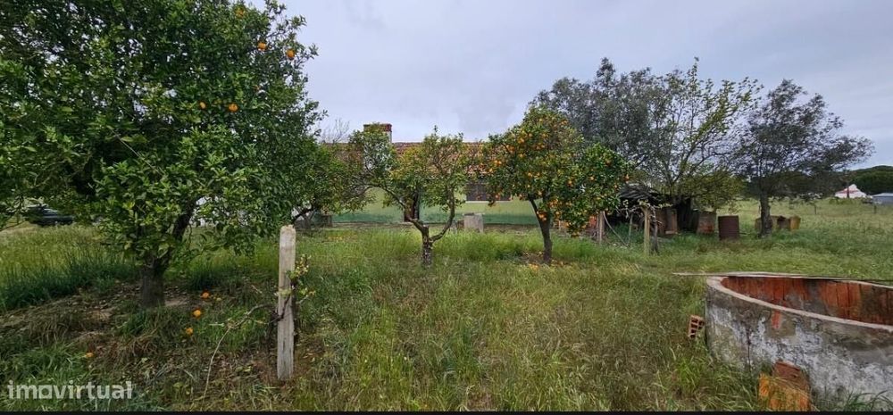 Quinta para Reconstrução a 25 Min das Praias da Comporta