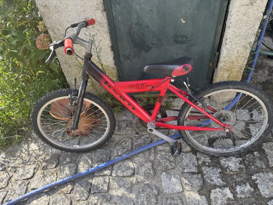 Bicleta de crianca