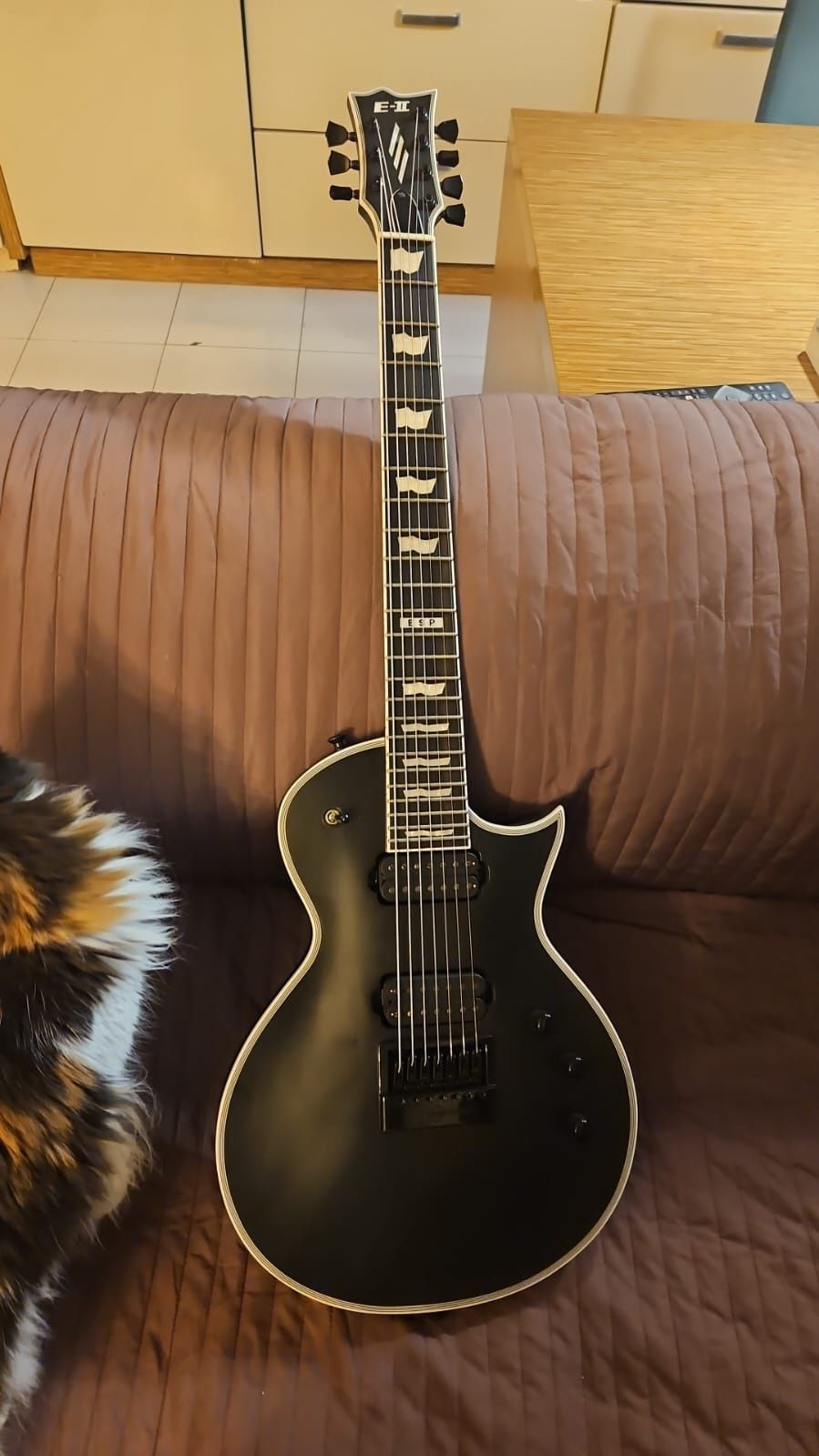 Esp eclipse evertune 7 strunowa gitara
