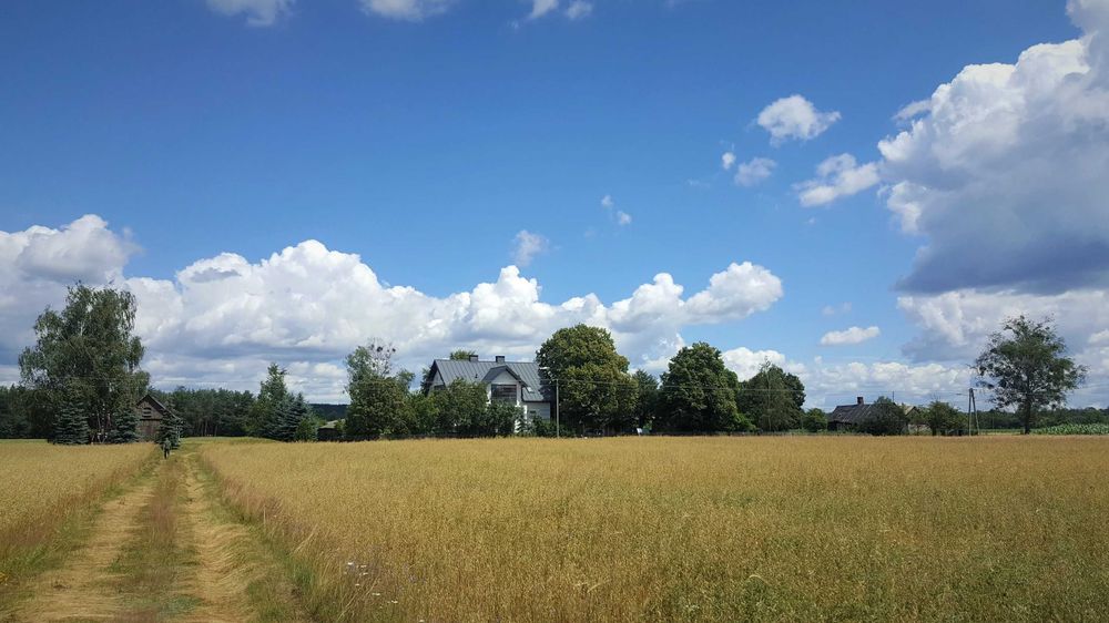 Domek dla 12 osób. Sauna, balia, jacuzzi. 90 km od W-wy i Lublina