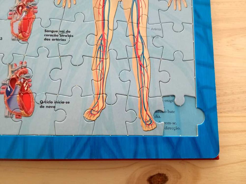 Livro "Corpo Humano - Livro Puzzle" de Dr. Malcom Clark