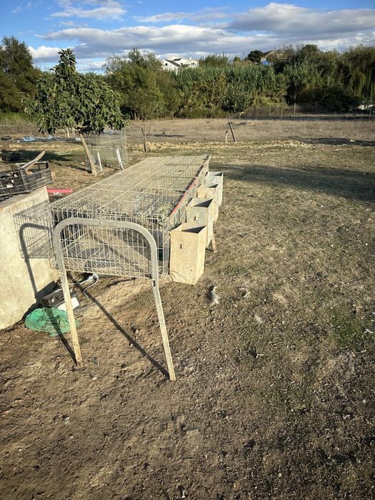 Coelheiras para coelhos ou outros animais