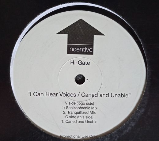 Hi Gate - i can hear voices / caned and unable, retro techno klub 2000