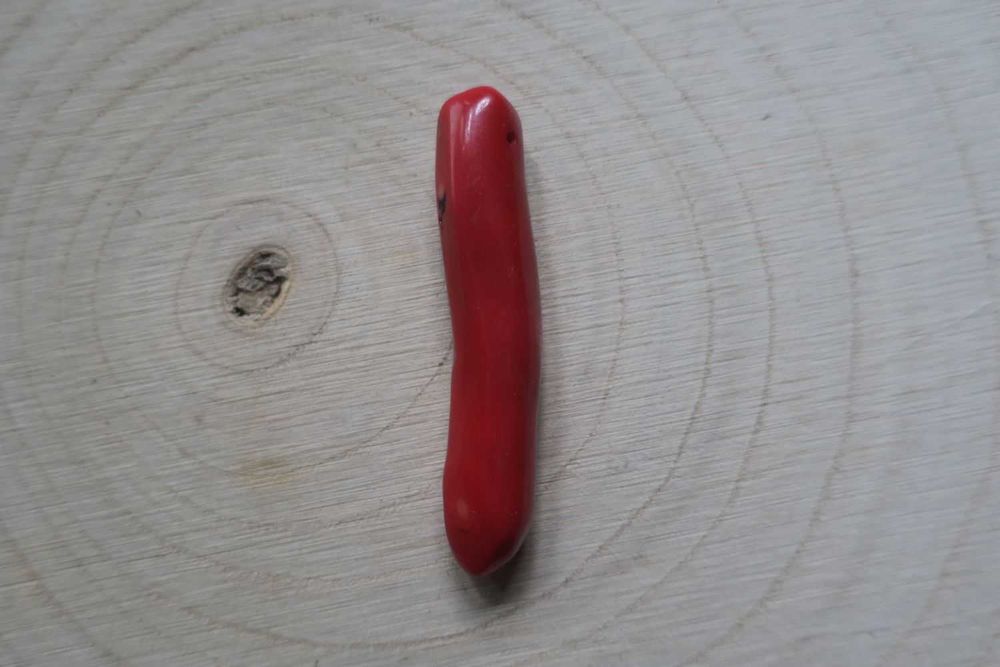 Wisiorek czerwony koral 6,8 cm