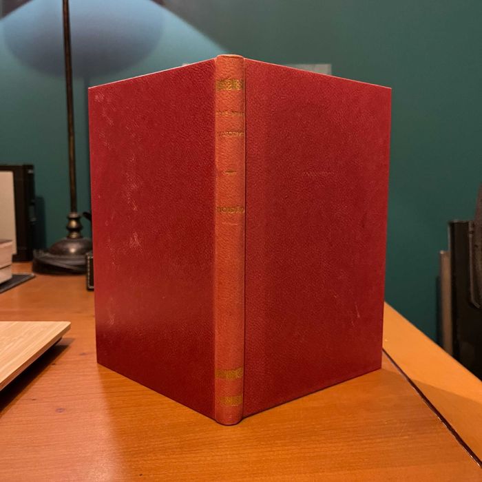 José Mauro de Vasconcelos - Doidão