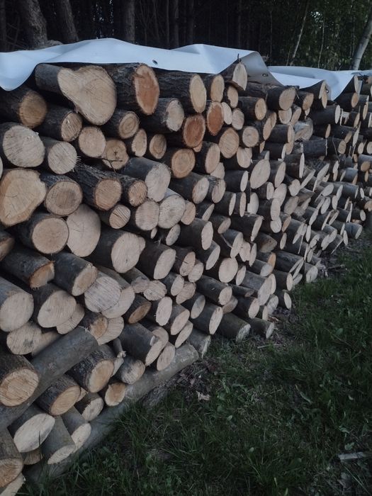 Drewno opałowe liściaste suche