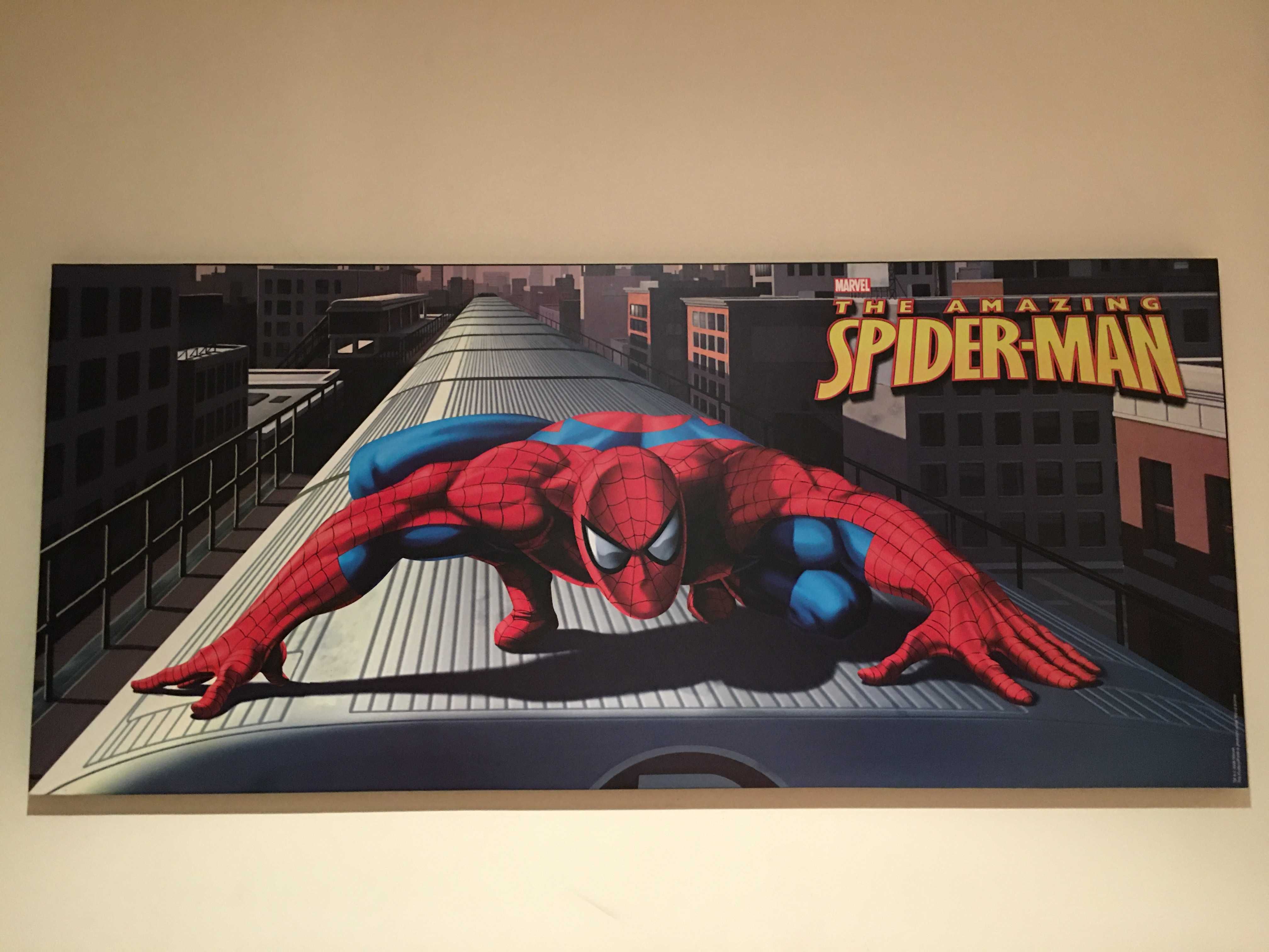 Quadro The Amazing Spider-Man