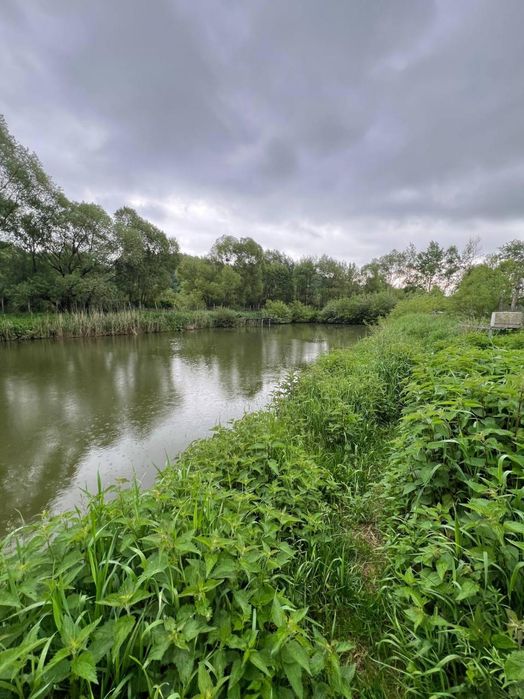 БЕЗ КОМІСІЇ ! Продаж земельної ділянки в с. Новосілка