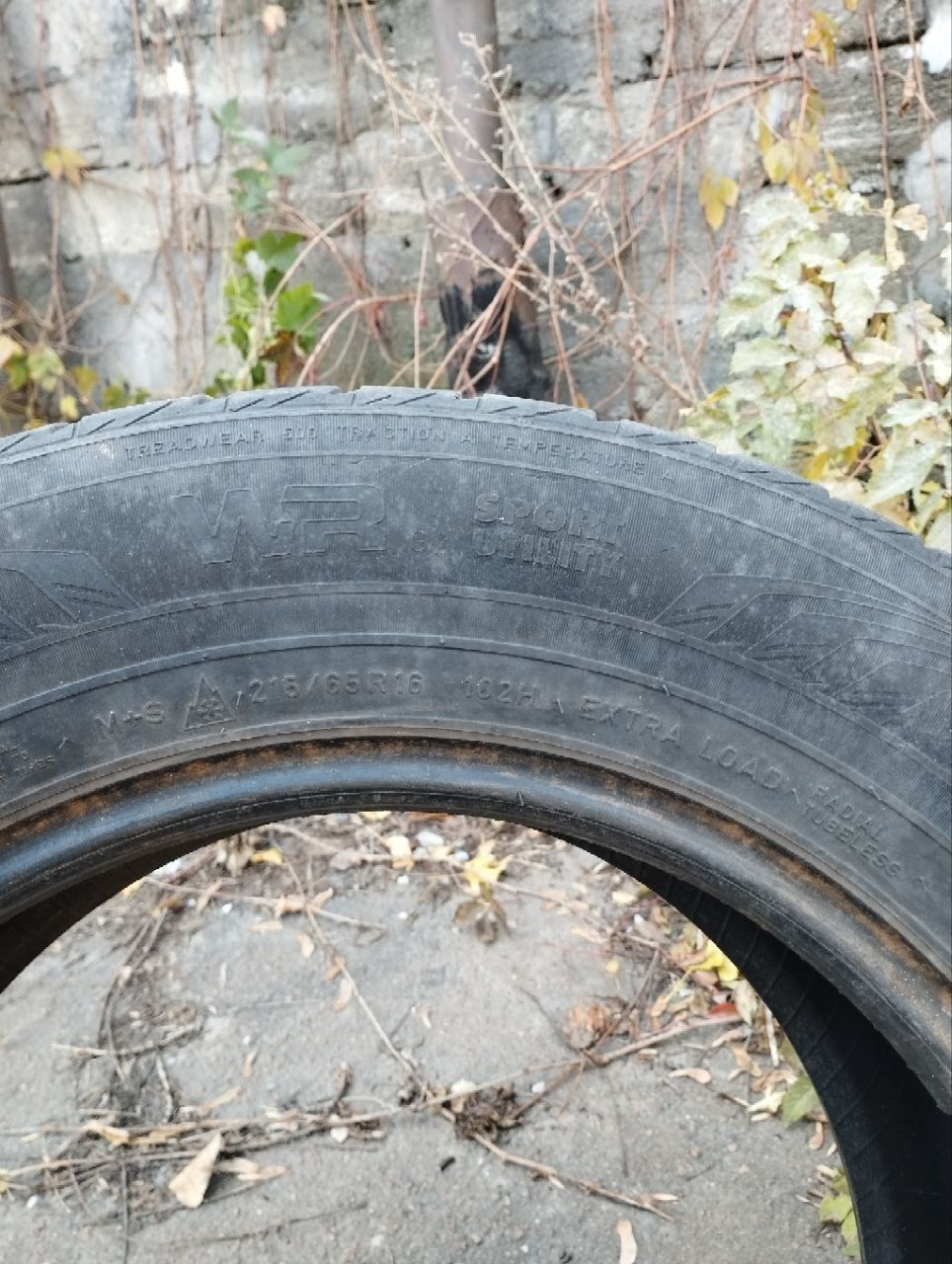 Гума автомобільна зимова 215/65 R16 Nokian