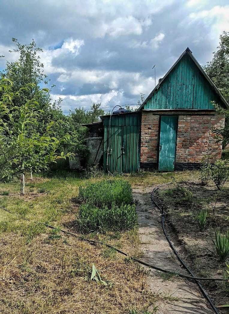 Продам дачу  Лісові Поляни, с. Надержинщина (Полтавська обл.)