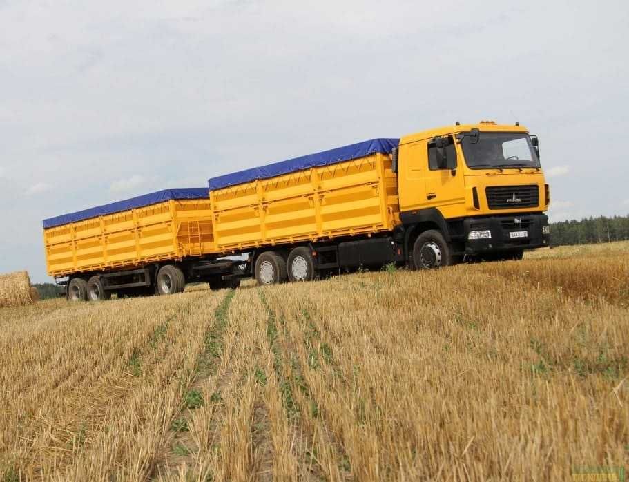 Купуємо Кукурудзу авто потяг порт Одеса Чорномоськ Ізмаїл клас 1-4