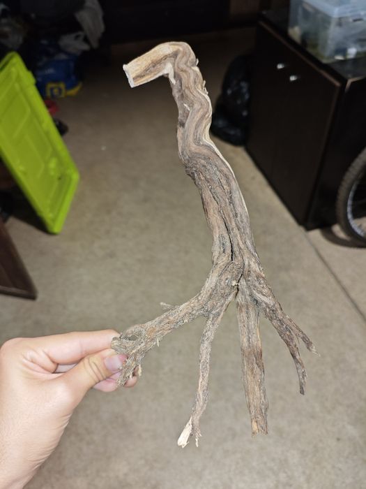 Driftwood Aquário