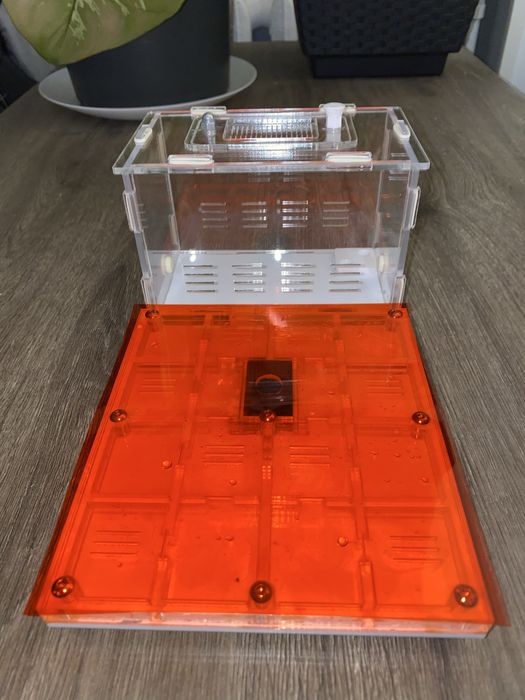 Formikarium dla mrówek